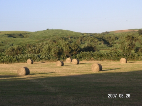 s_PICT0114.jpg